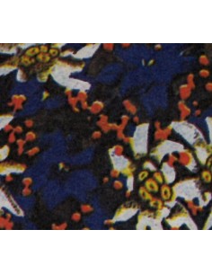 CARTA FOGLI STELLE ALPINE