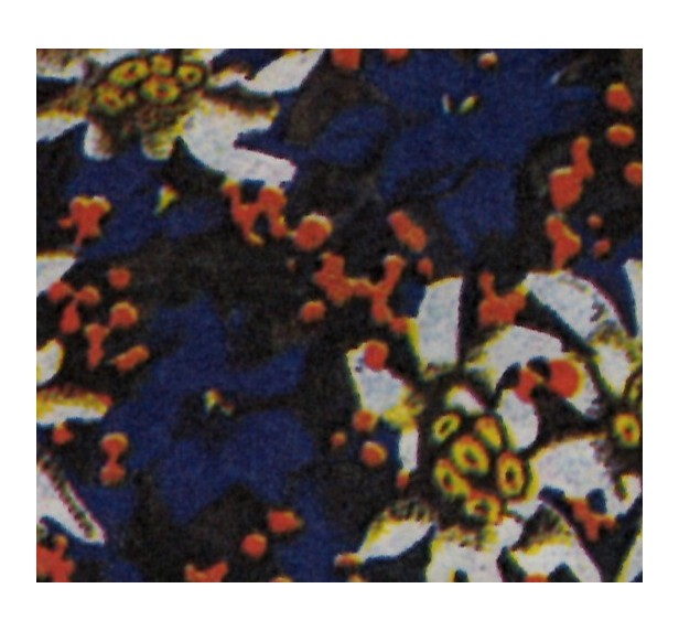 CARTA FOGLI STELLE ALPINE