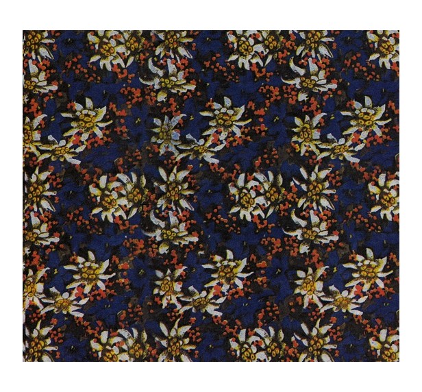 CARTA FOGLI STELLE ALPINE