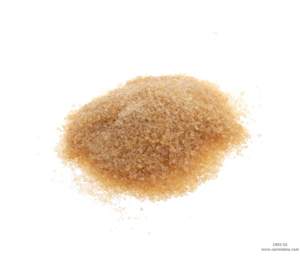 COLLA PER SOMIERE E DERMOIDE - GELATINA PELLE - G TEC. 300B (25KG)