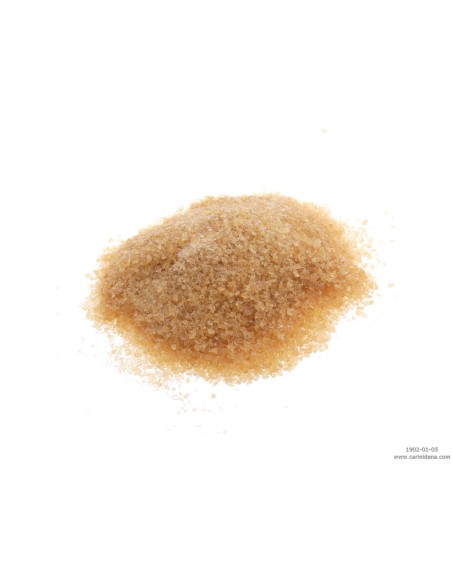 COLLA PER SOMIERE E DERMOIDE - GELATINA PELLE - G TEC. 300B (25KG)