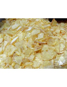 COLOFONIA IN SCAGLIE