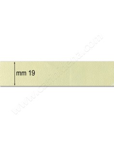DERMOIDE 19 LISCIA AVORIO