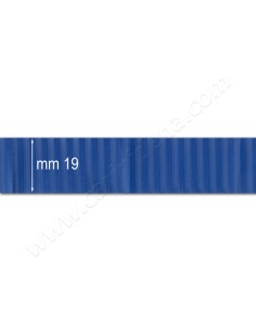 DERMOIDE 19 RIGATA AZZURRA