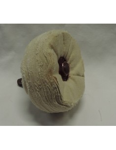 DISCHI LUCIDATURA FELPATI TRANCIATI MORBIDI + PERNO TRAP mm 80 X 30 G.8