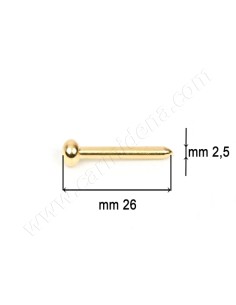 SPILLI OTT. DORATI - TESTA TONDA MM 2.5 x 26