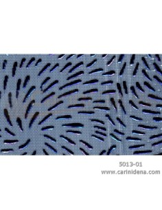 VELO FUORIGROTTA BLU